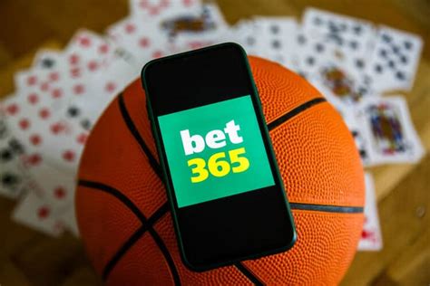 bet365 dog results